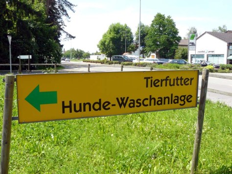 9 VI 2010: Wasch den Luis