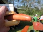 Testbratwurst (Stetten, 08.05.2006)