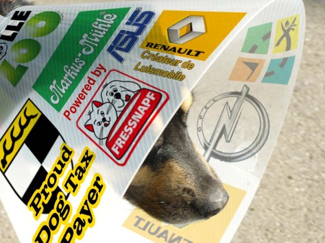 Dogvertising Dogvertising -- der neueste Marketing-Hype