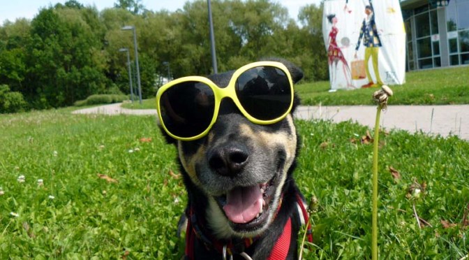 Luis Del Sol empfiehlt: Balingen als sonnigster Ort Deutschlands