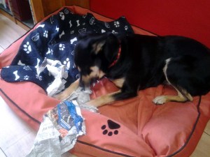 Stromloser Aktenvernichter