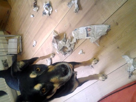 Room for improvement