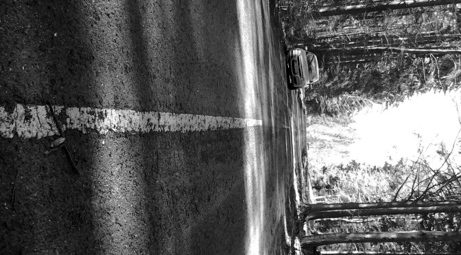 Schwarzwald-Caching: Anreise & Roadmovie