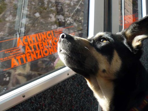 GC120316_AchtungLuis