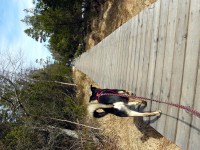 GC120317_AufdemHolzweg1