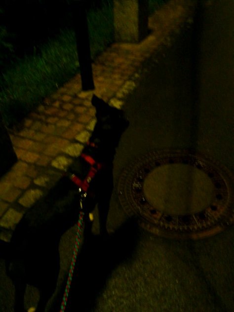 2012-07-20 22.38.16.jpg image