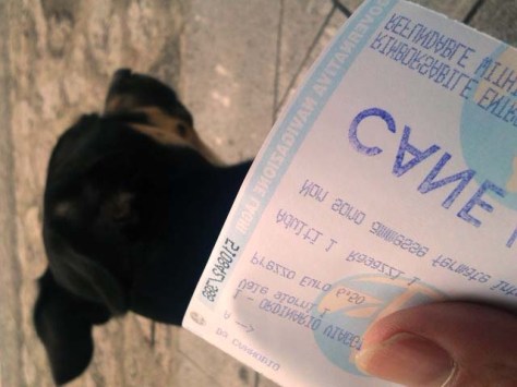 Offiziell bestätigt: Luigi ist ein Hund (und muss deshalb zahlen (lassen))