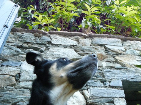 Nur Luis braucht etwas länger... Nur Luis braucht etwas länger...