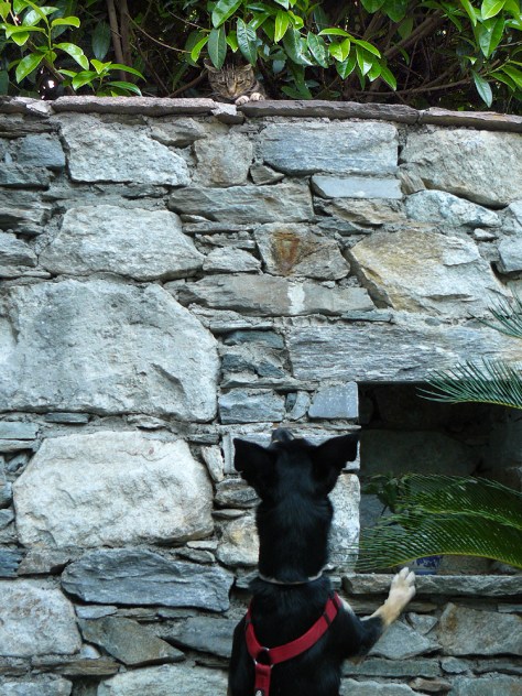 ... werden allerdings eher zurückhaltend beantwortet. ... werden allerdings eher zurückhaltend beantwortet.