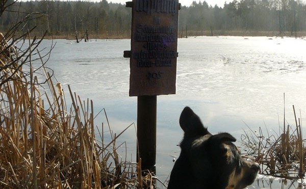 Neckarweg I: Schwenningen — Deißlingen