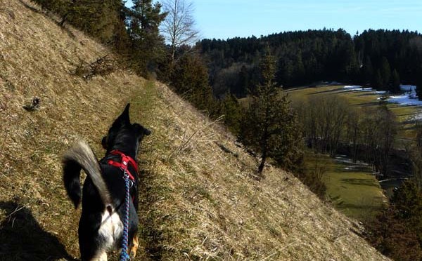 Neckarweg II: Deißlingen — Rottweil