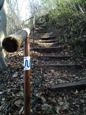 Neckarweg geht aufwärts