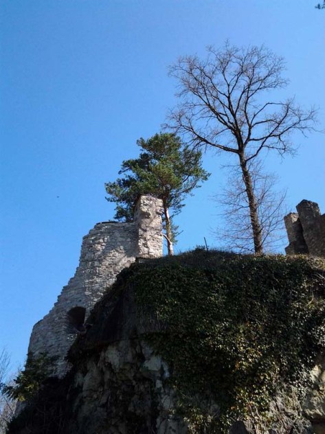 Ruine Wehrstein