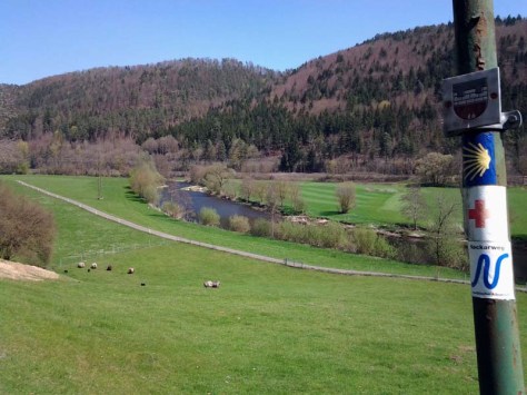 Neckaridyll mit Schafen