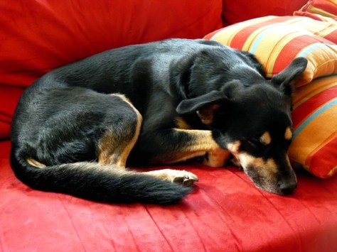 Nach 27 km ist selbst Luis schlapp...