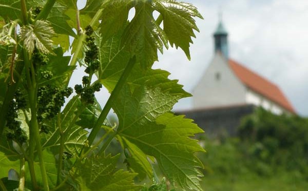 Neckarweg VII: Rottenburg — Tübingen