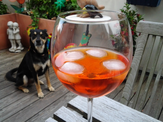 Aperol Sitz | Luis@L&R: Unterwegs mit Hund