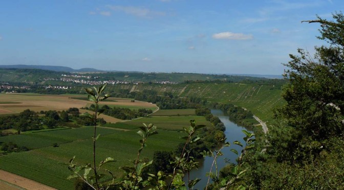 Neckarweg XIII: Neckarweihingen — Lauffen am Neckar