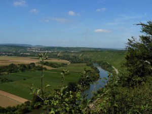 Immer noch: Hessigheimer Felsengärten