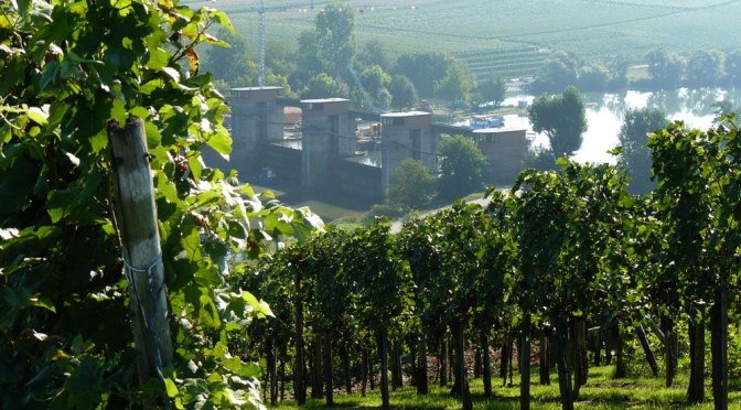 Neckarweg XIV: Lauffen am Neckar — Heilbronn