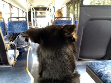 Luis macht Schienenersatzverkehr