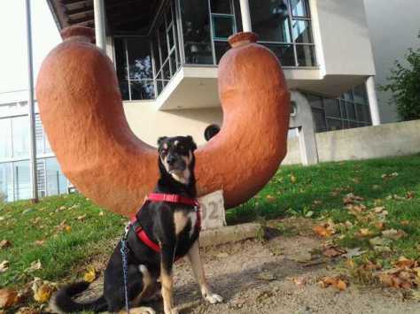 Das Maß aller Dinge für Luis...