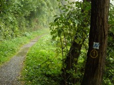 Los geht's -- bei leichtem Regen