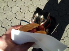 Hungerstiller in Mosbach (für mich)