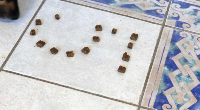 Luis‘ Jahresrückblick 2014, Teil 1