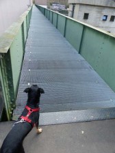 No Go für Hunde: 150 m Gitterrost