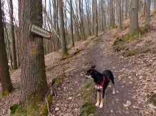 Luis freut sich: Endlich wieder ein richtiger Wanderweg