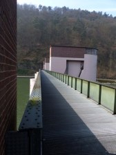 Staustufe Neckarsteinach: Nix für Hunde