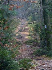 So stellt sich der Laie einen Qualitätswanderweg vor