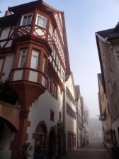 Hirschhorn im Morgennebel