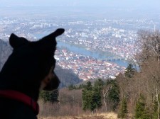Luis freut sich auf Heidelberg