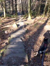 Die hatte es in sich: 250 Höhenmeter 