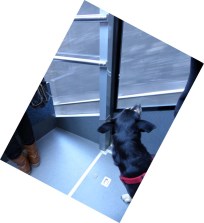 Untere Bergbahn mit mäßiger Begeisterung