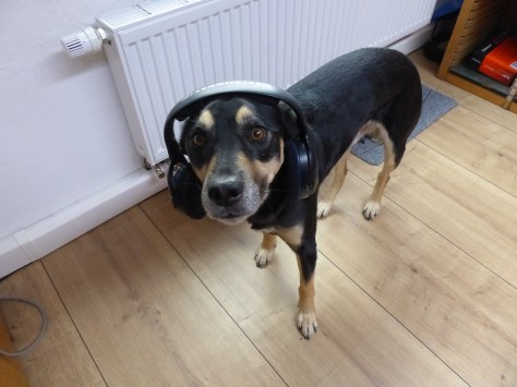 Hoch motivierter Webinar-Teilnehmer