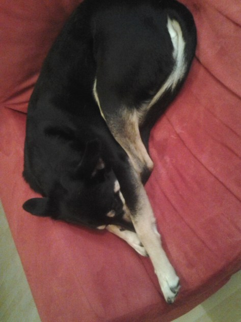 Dienstag: Luis macht Pläne für den nächsten Besuch