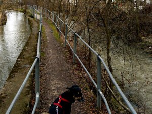 Zum Vergleich: Etappe 1, zwischen Kanal und Neckar