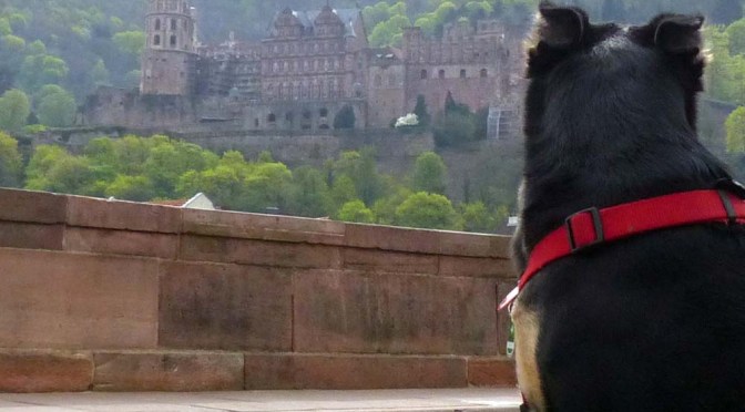 Neckarweg XXII: Heidelberg — Ladenburg