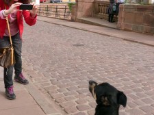 Temporäre Heidelberger Sehens- und Knips-Würdigkeit