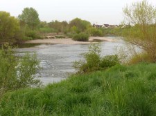 Naturnahe Neckarschleife