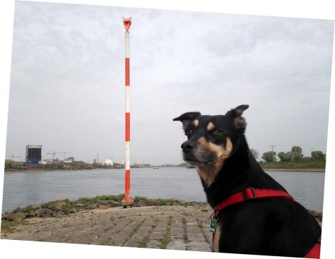 Luis am Ende (des Neckarwegs)