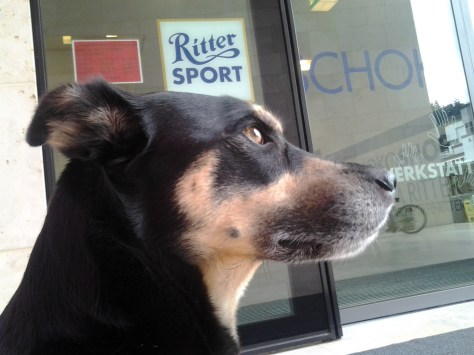 Mittwoch: Quadratisch. Praktisch. Luis