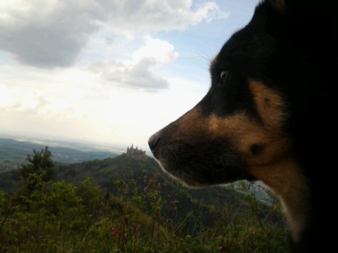 Freitag: Luis am Zeller Horn