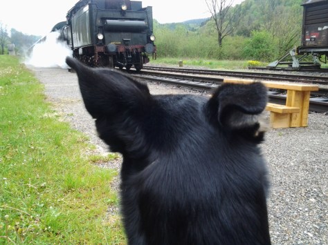 Sonntag: Luis an der Sauschwänzlebahn