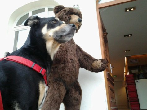 Montag: Luis beim Steiff-Museum