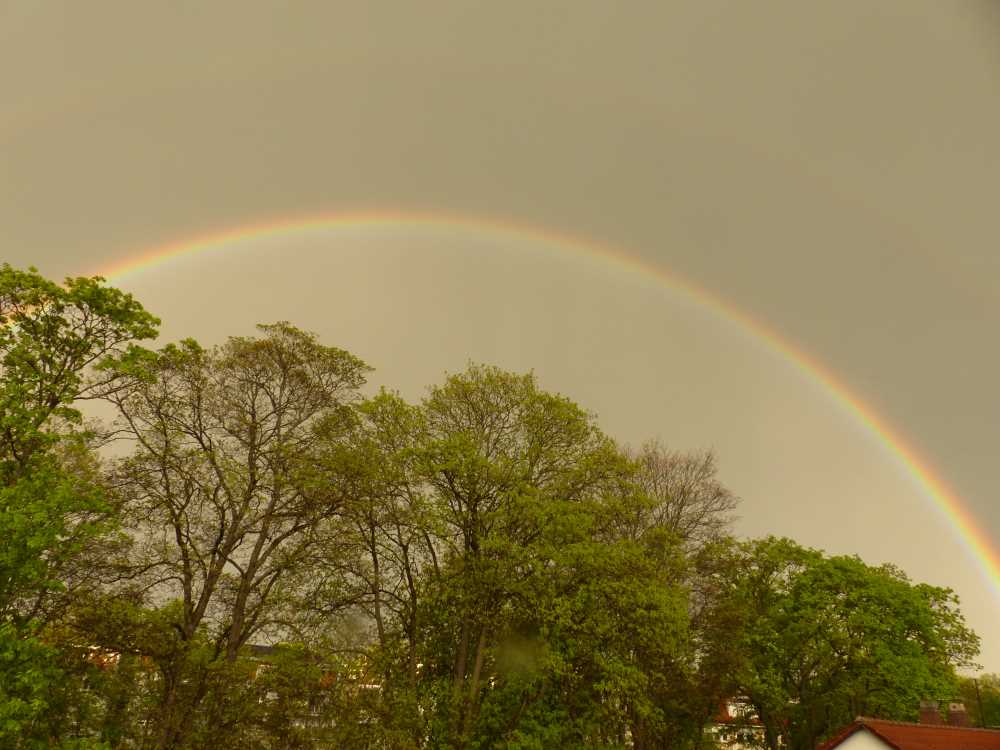 Regenbogen über Balingen