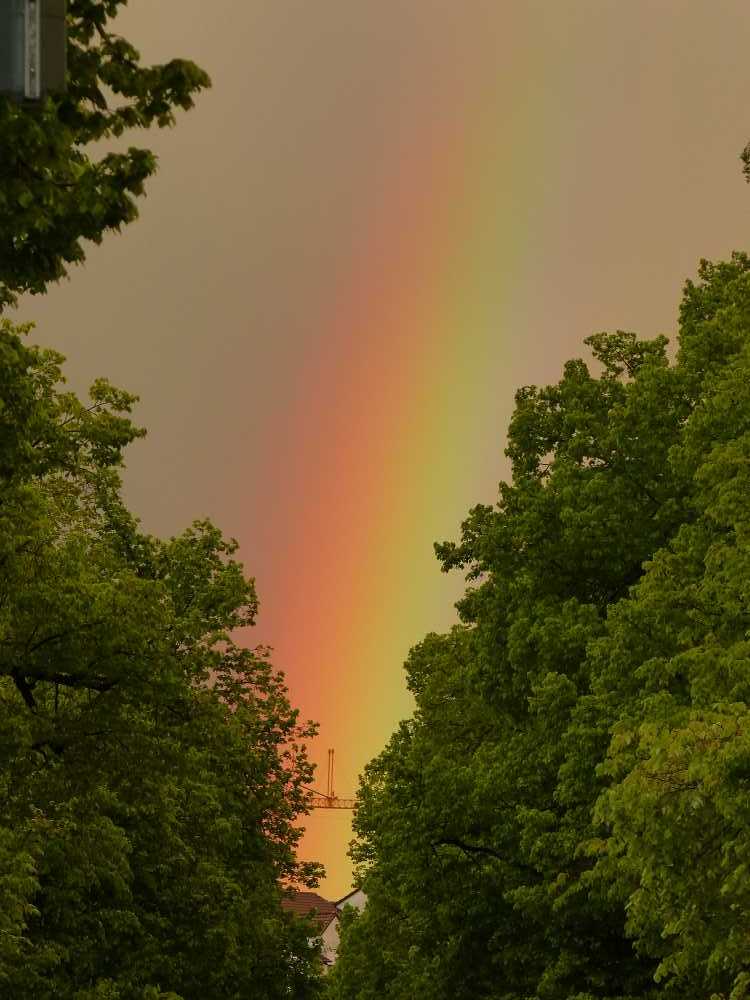 Regenbogen über Balingen